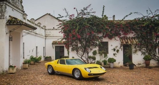lambopolo